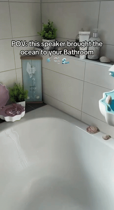 Shell Lamp with Bluetooth Speaker